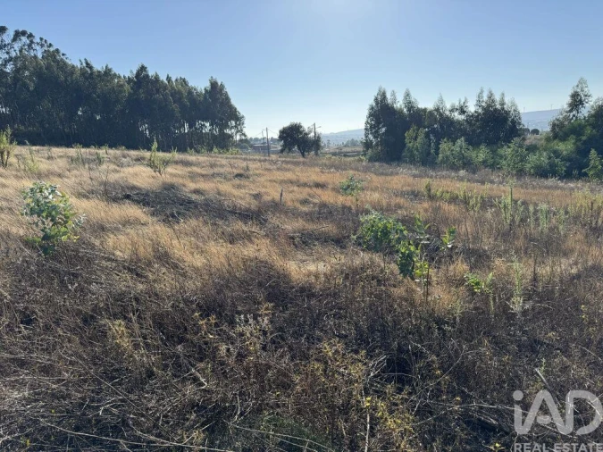 Terreno para Venda em Olhalvo Foto 18