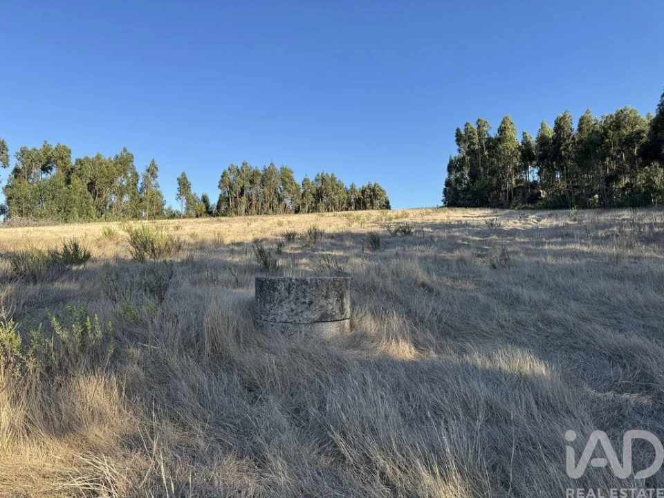 Terreno para Venda em Olhalvo Foto 19