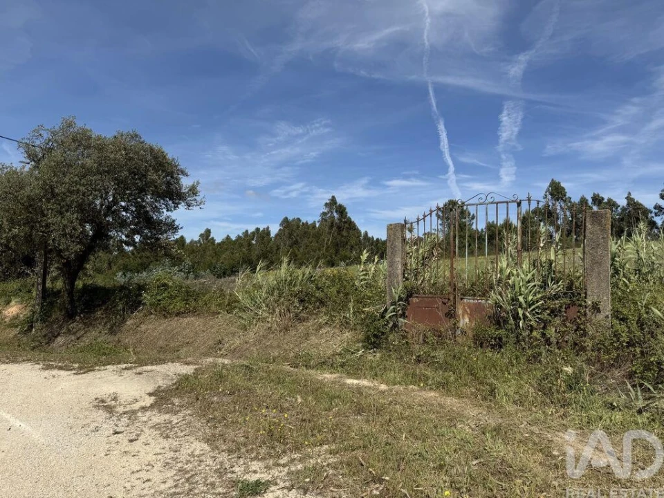 Terreno para Venda em Olhalvo Foto 12