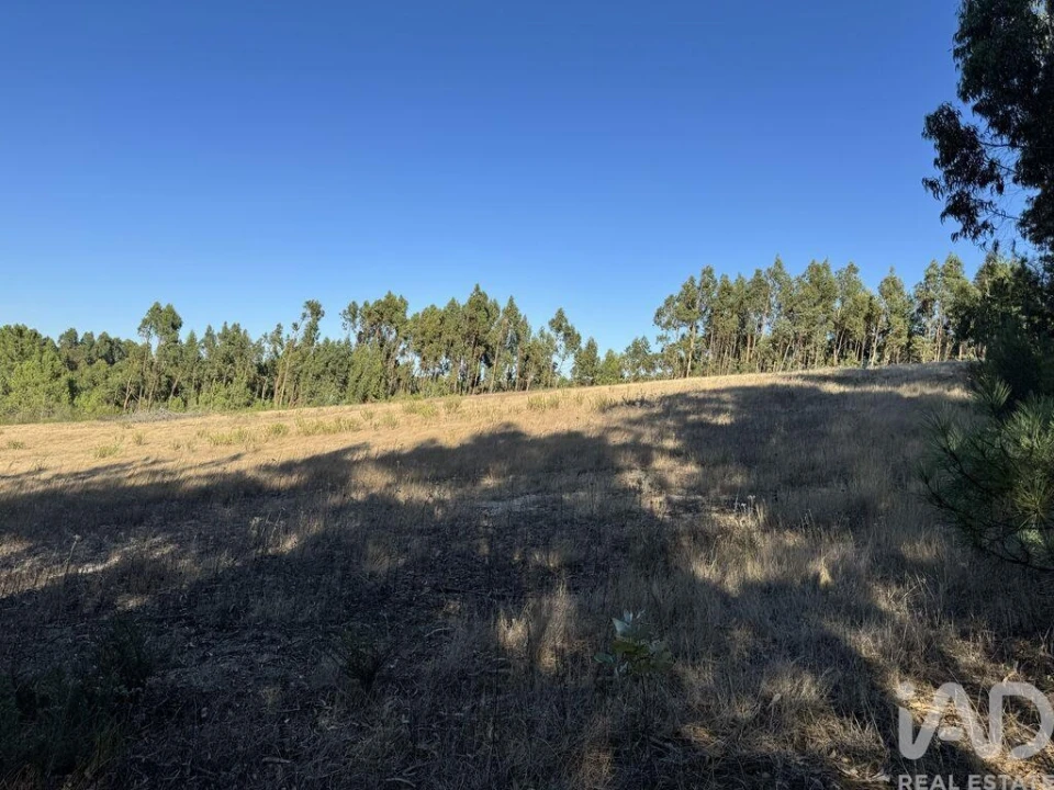 Terreno para Venda em Olhalvo Foto 11