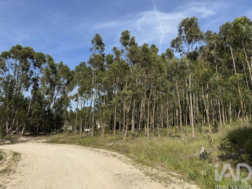 Terreno para Venda em Olhalvo Foto 19