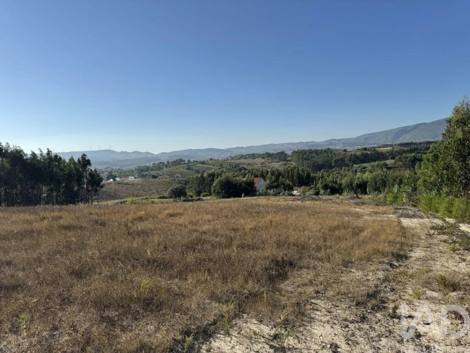 Terreno para Venda em Olhalvo Foto 16