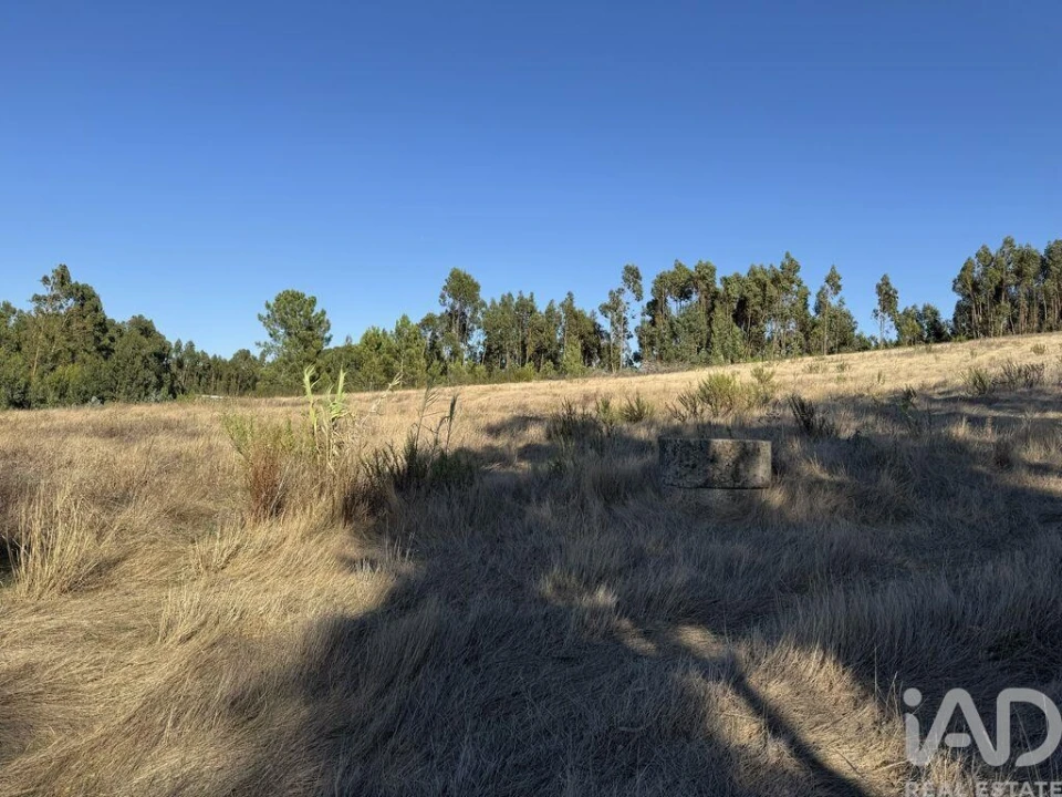 Terreno para Venda em Olhalvo Foto 6