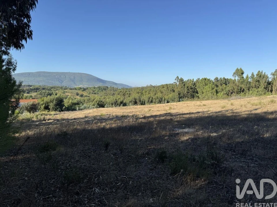 Terreno para Venda em Olhalvo Foto 10