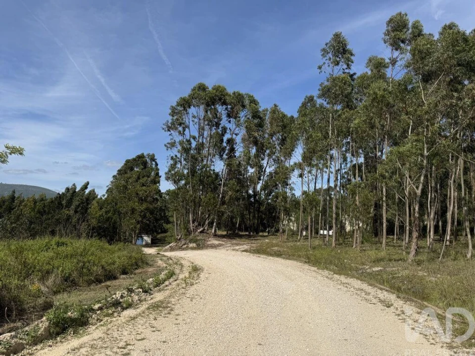 Terreno para Venda em Olhalvo Foto 20