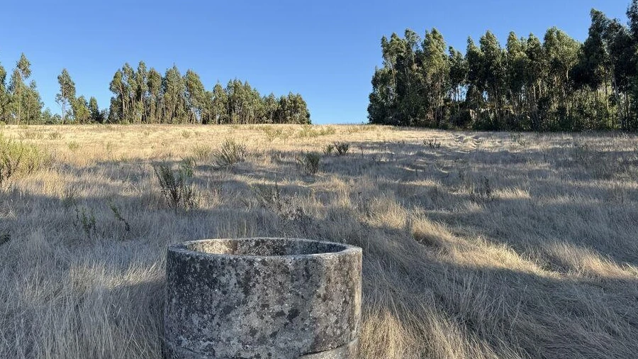 Terreno para Venda em Olhalvo