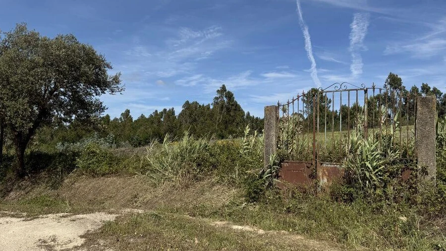 Terreno para Venda em Olhalvo