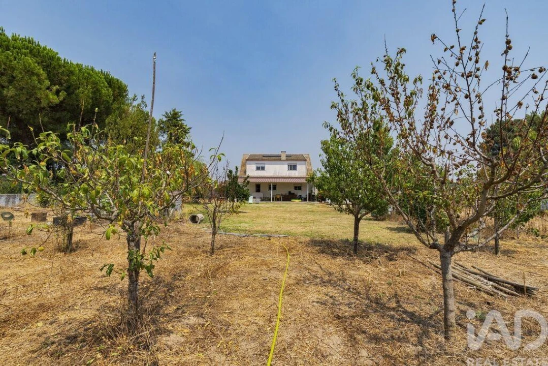 Moradia T4 para Venda em Quinta do Anjo Foto 19