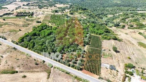 Terreno para Venda em Manique do Intendente, Vila Nova de São Pedro e Maçussa