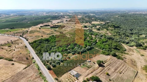 Terreno para Venda em Manique do Intendente, Vila Nova de São Pedro e Maçussa