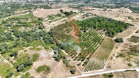 Terreno para Venda em Manique do Intendente, Vila Nova de São Pedro e Maçussa
