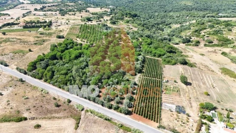 Terreno para Venda em Manique do Intendente, Vila Nova de São Pedro e Maçussa