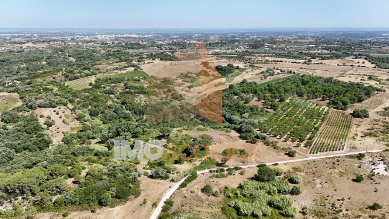 Terreno para Venda em Manique do Intendente, Vila Nova de São Pedro e Maçussa Foto 1