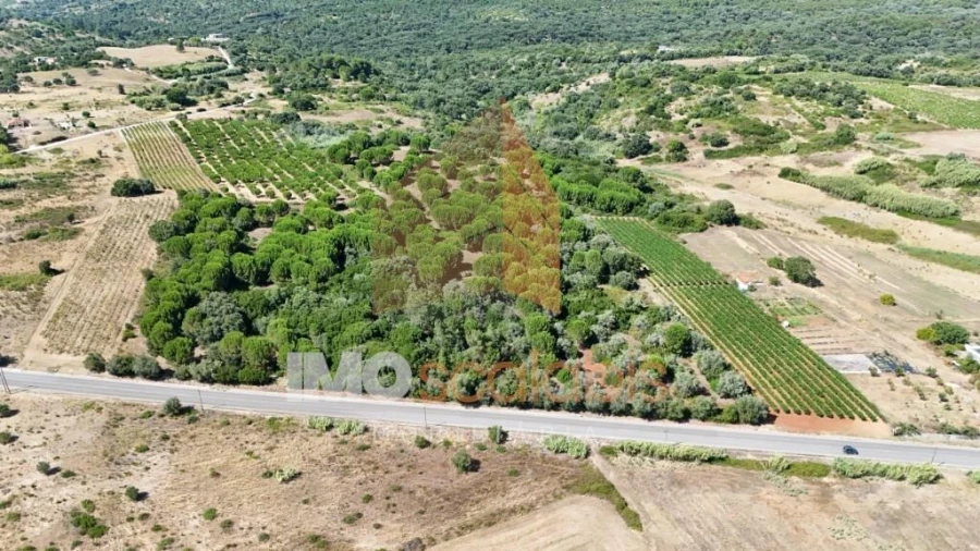 Terreno para Venda em Manique do Intendente, Vila Nova de São Pedro e Maçussa Foto 4