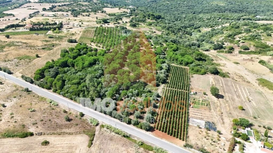 Terreno para Venda em Manique do Intendente, Vila Nova de São Pedro e Maçussa Foto 6