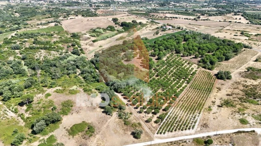 Terreno para Venda em Manique do Intendente, Vila Nova de São Pedro e Maçussa Foto 2