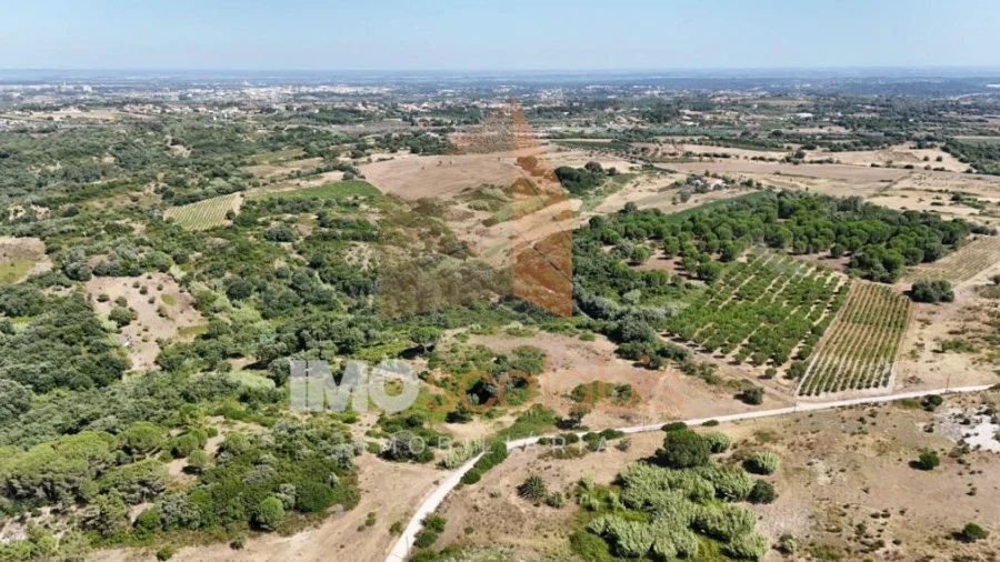 Terreno para Venda em Manique do Intendente, Vila Nova de São Pedro e Maçussa