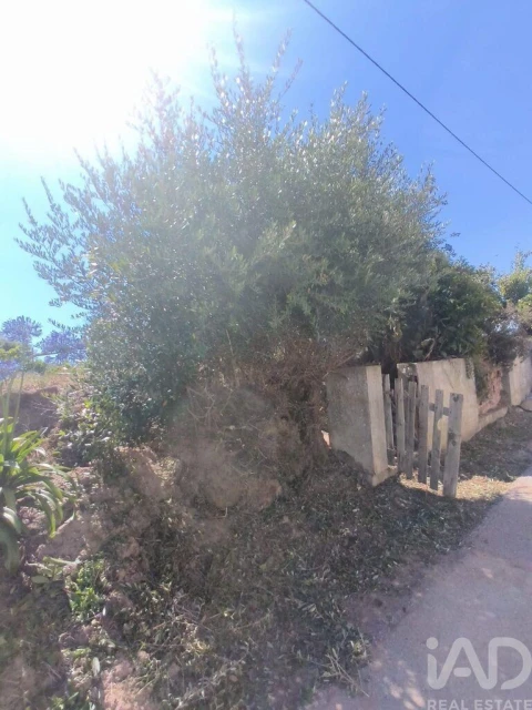 Moradia T2 para Venda em Peral