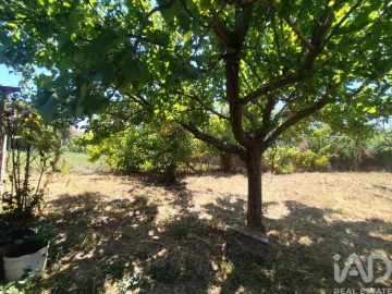 Moradia T2 para Venda em Peral