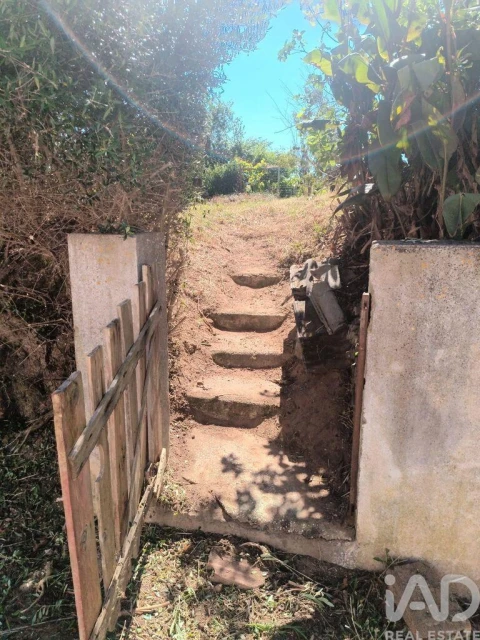 Moradia T2 para Venda em Peral