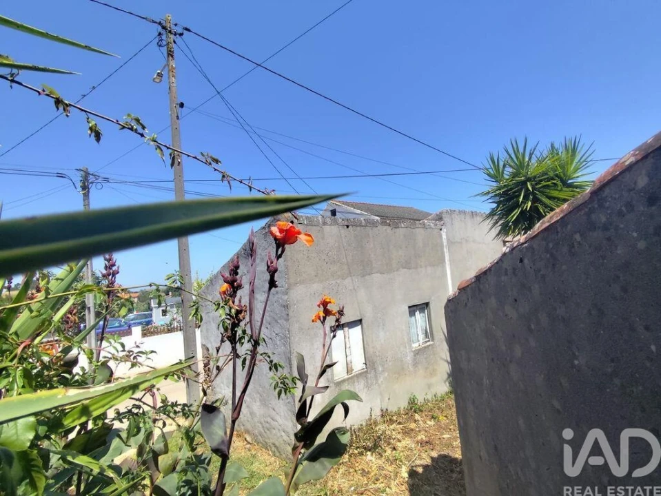 Moradia T2 para Venda em Peral Foto 16