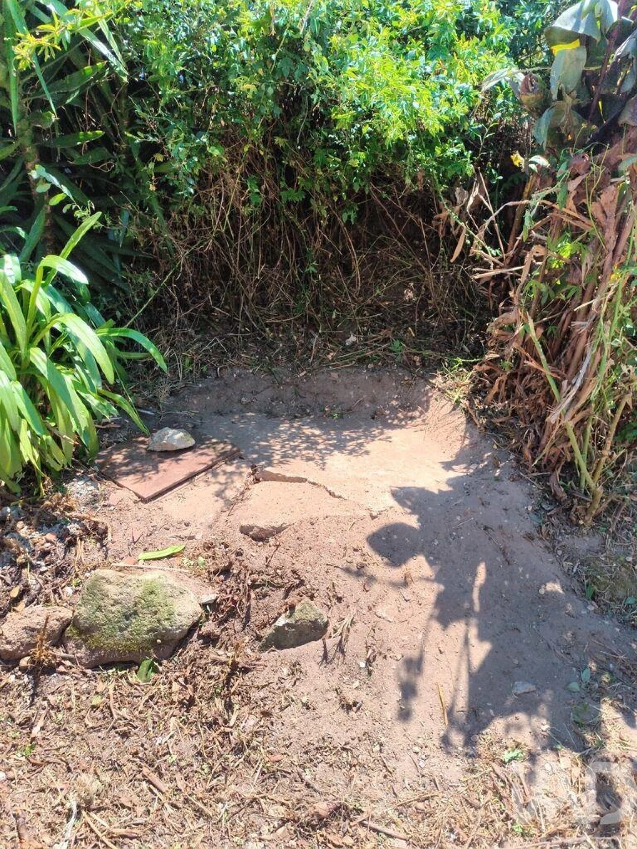 Moradia T2 para Venda em Peral Foto 22
