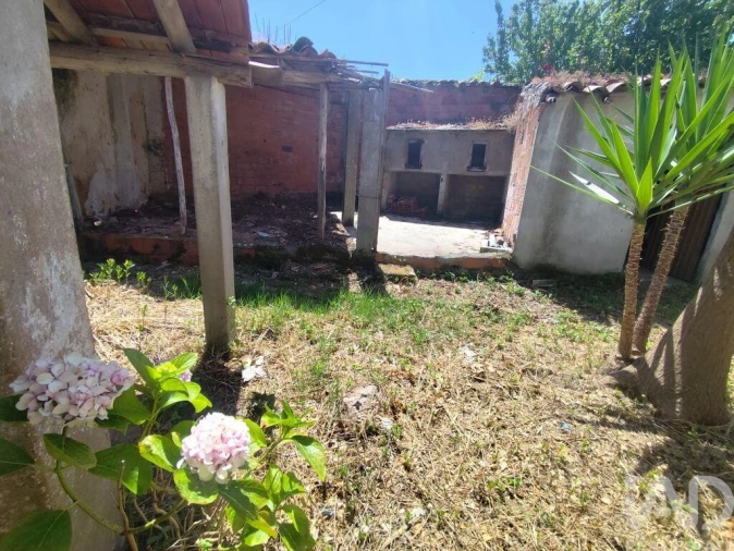 Moradia T2 para Venda em Peral Foto 28