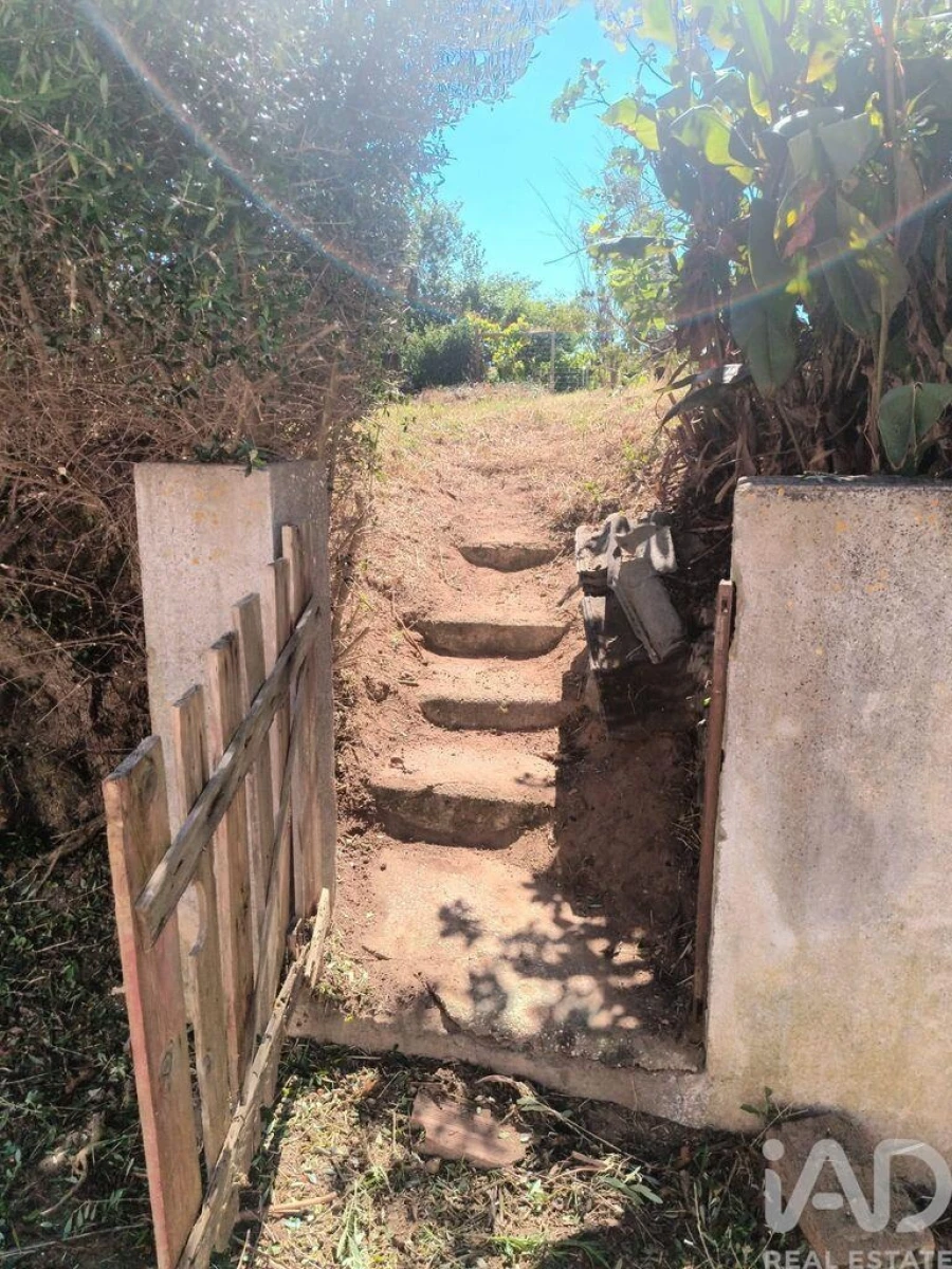 Moradia T2 para Venda em Peral Foto 36
