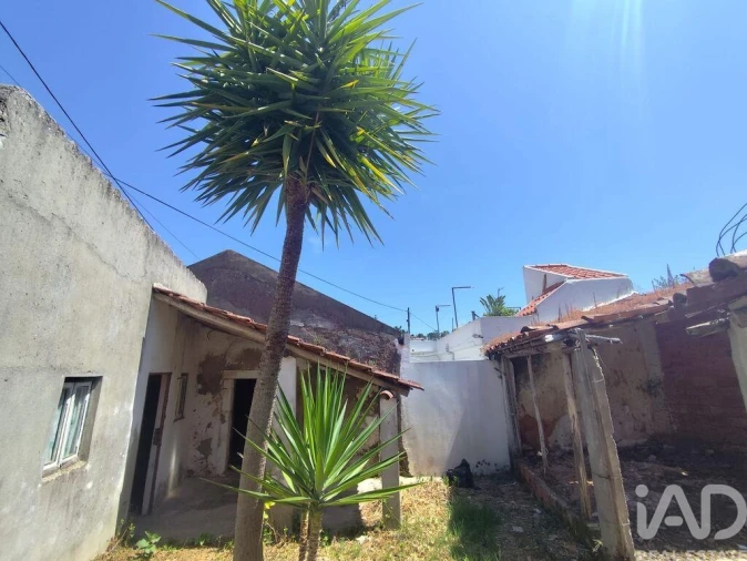 Moradia T2 para Venda em Peral Foto 14