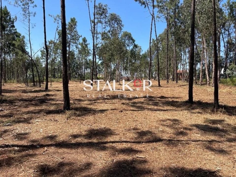 Terreno para Venda em São João de Ver Foto 10
