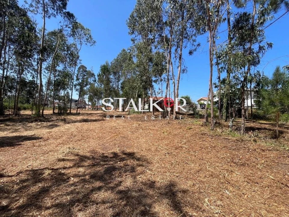 Terreno para Venda em São João de Ver Foto 13