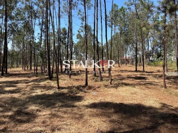 Terreno para Venda em São João de Ver