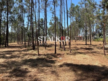 Terreno para Venda em São João de Ver
