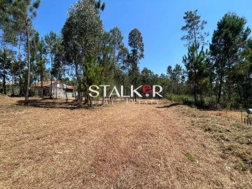 Terreno para Venda em São João de Ver