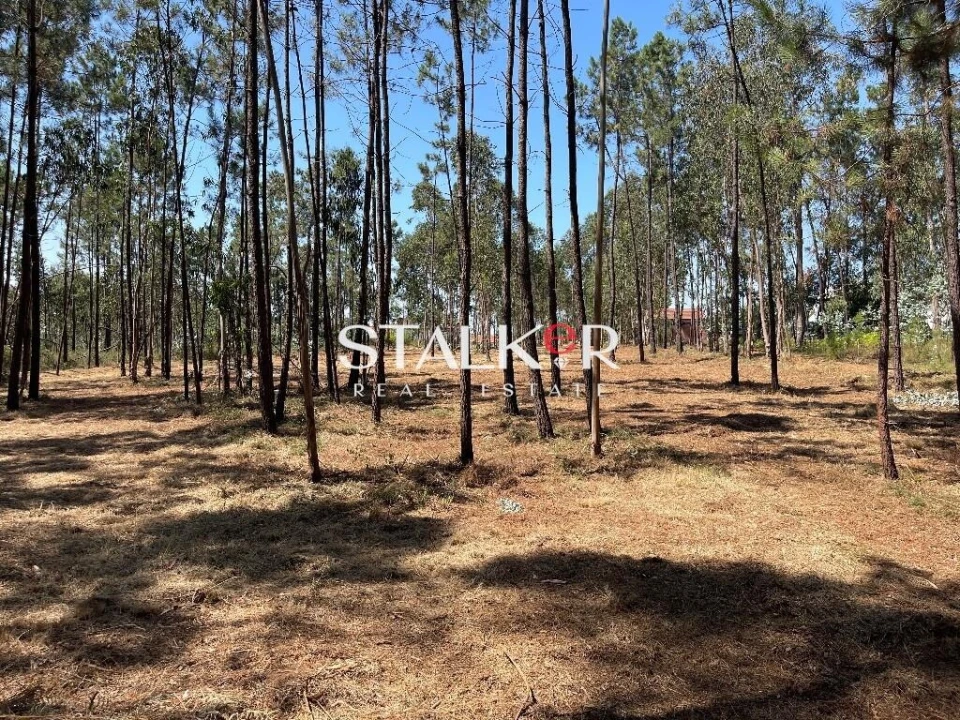 Terreno para Venda em São João de Ver Foto 9