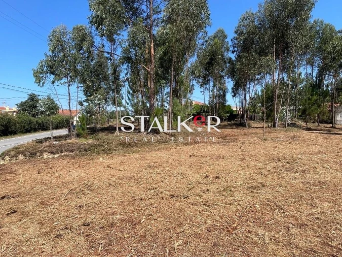 Terreno para Venda em São João de Ver Foto 3