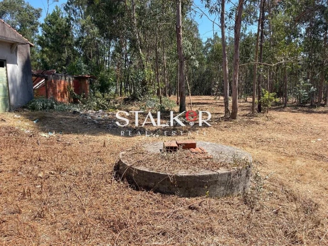 Terreno para Venda em São João de Ver Foto 12