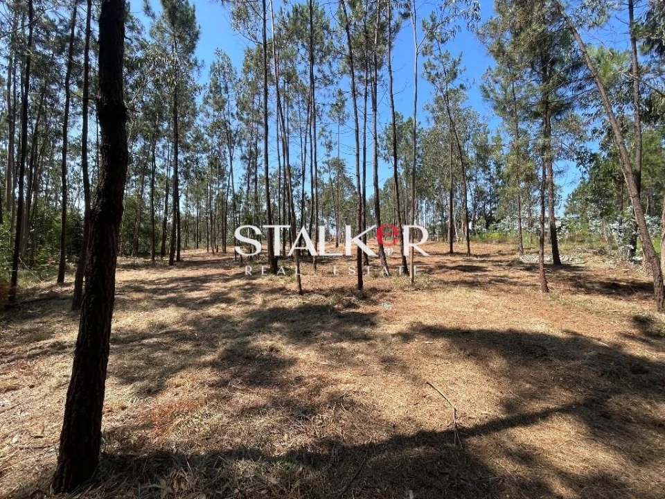 Terreno para Venda em São João de Ver Foto 8