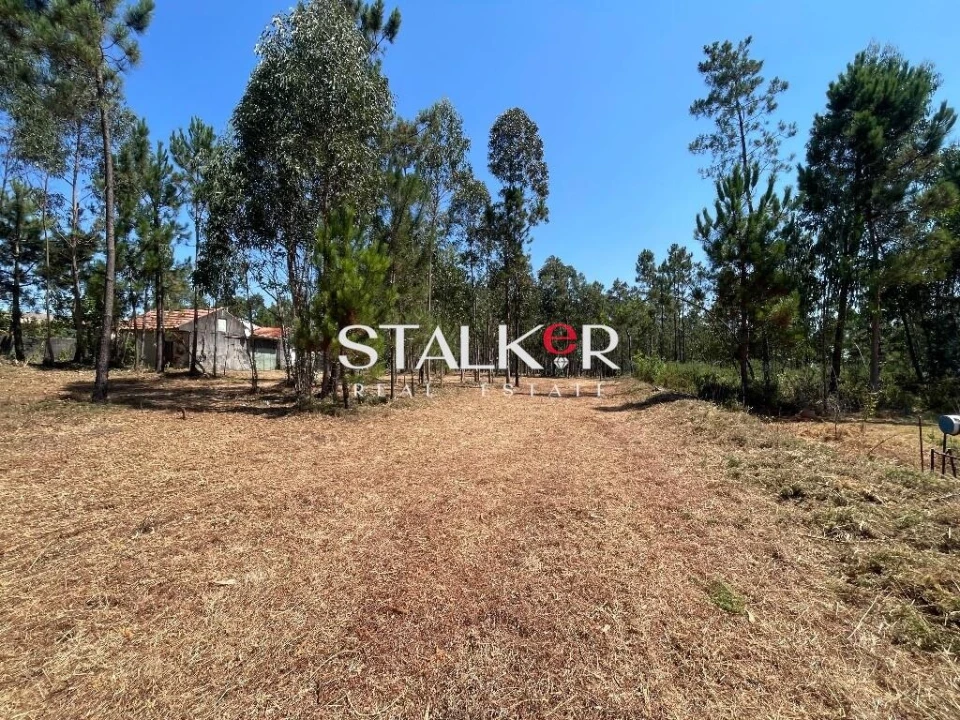 Terreno para Venda em São João de Ver Foto 5