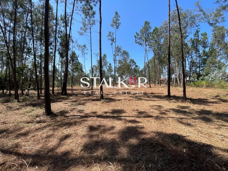 Terreno para Venda em São João de Ver Foto 11