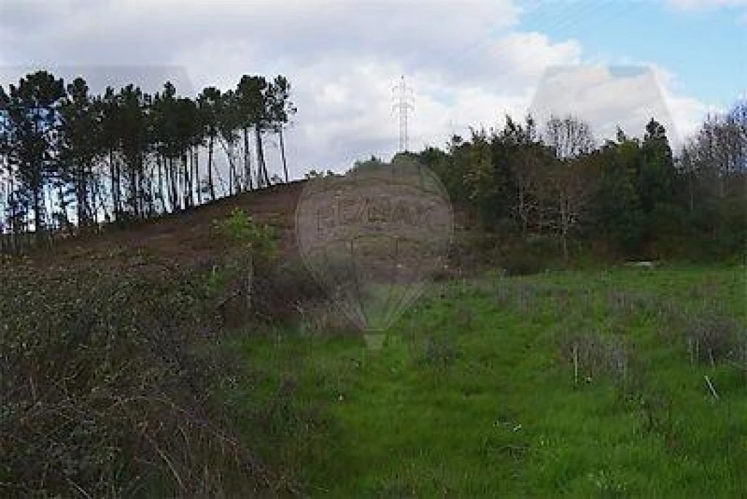 Terreno para Venda em Covas e Vila Nova de Oliveirinha Foto 6