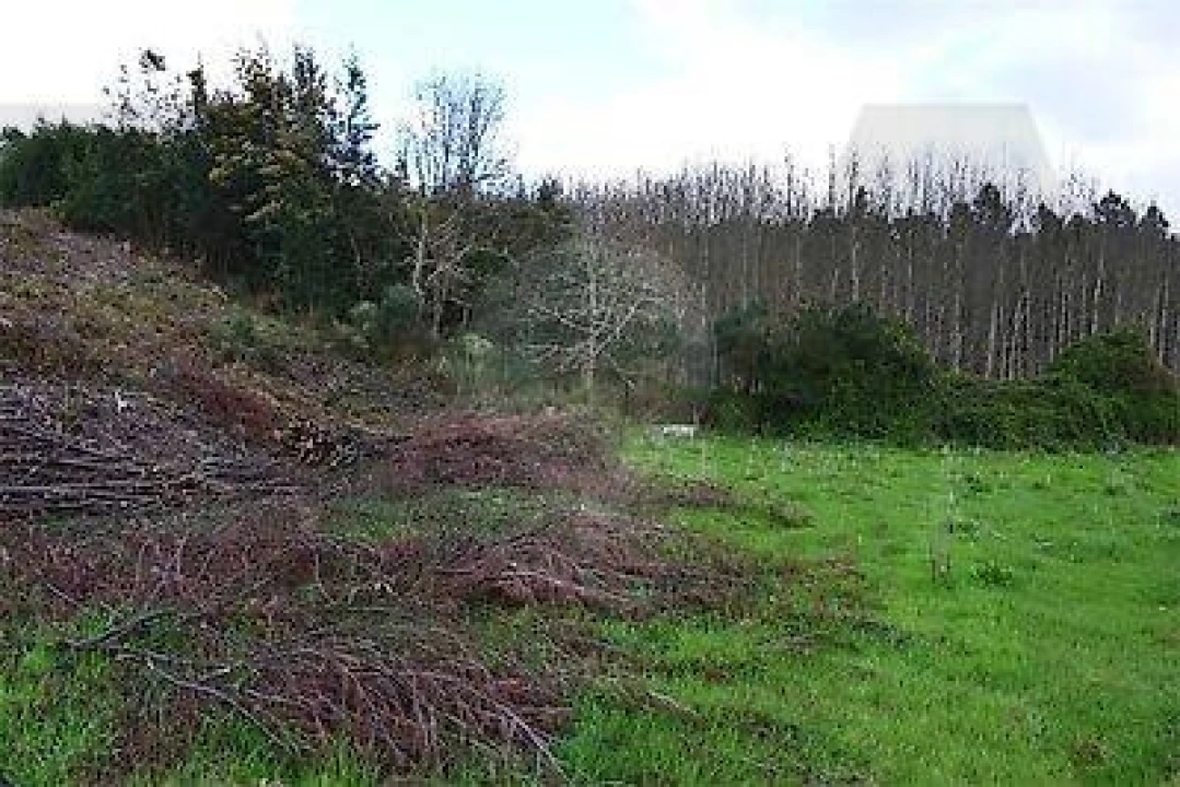Terreno para Venda em Covas e Vila Nova de Oliveirinha Foto 2