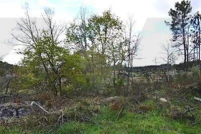 Terreno para Venda em Covas e Vila Nova de Oliveirinha