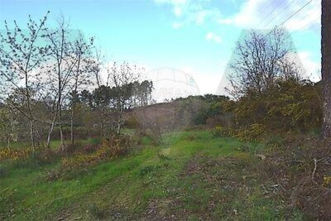 Terreno para Venda em Covas e Vila Nova de Oliveirinha Foto 3