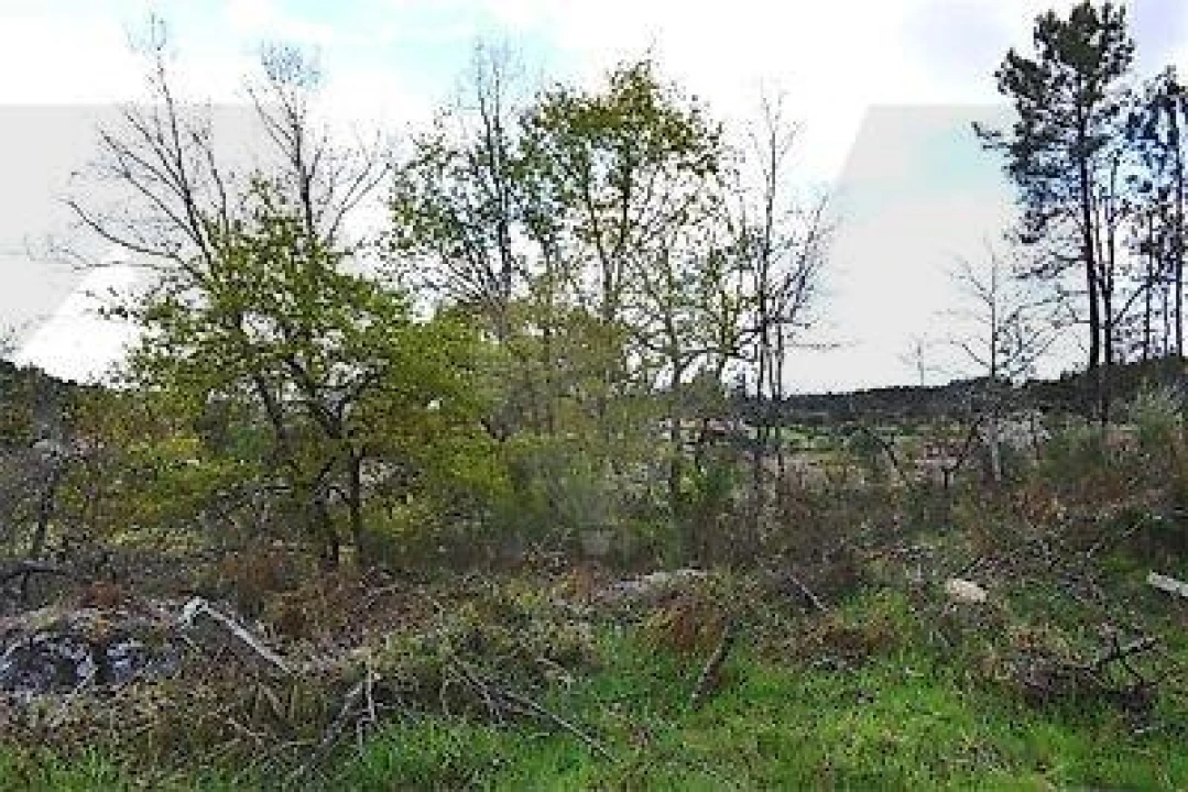 Terreno para Venda em Covas e Vila Nova de Oliveirinha Foto 7