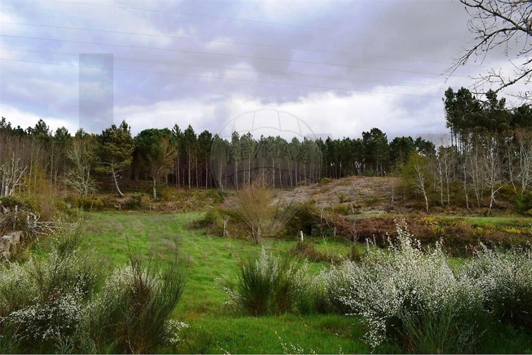 Terreno para Venda em Covas e Vila Nova de Oliveirinha Foto 1