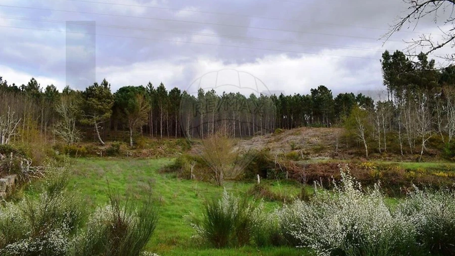 Terreno para Venda em Covas e Vila Nova de Oliveirinha
