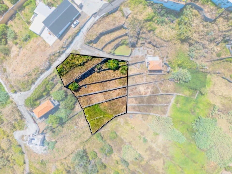 Terreno para Venda em Caniço Foto 11