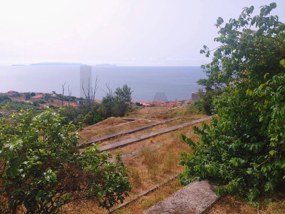 Terreno para Venda em Caniço Foto 9