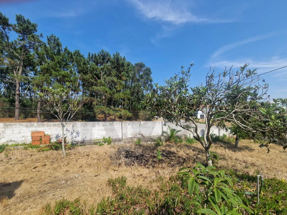 Moradia T5 para Venda em Foz do Arelho Foto 37